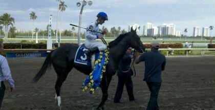 Jockey Calvin Borel will be aboard Revolutionary for the 2013 Kentucky Derby.