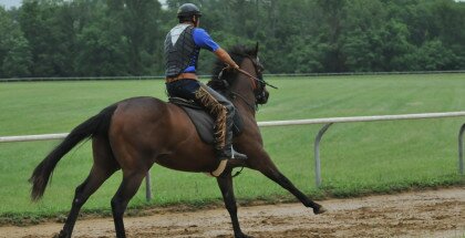 Purim's Dancer will break from post position #1 in the Las Cienegas Stakes on Saturday April 13, 2013 at Santa Anita Park.