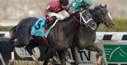 Honor Code 2013 Remsen Stakes