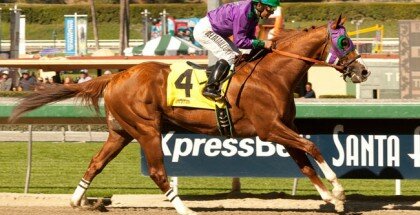 California Chrome Horse