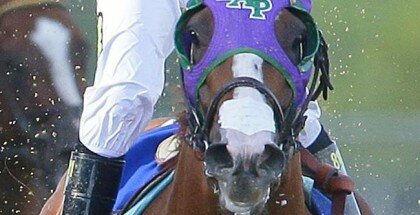 California Chrome Nasal Strip