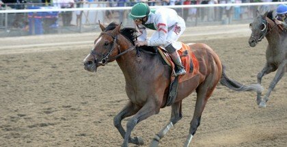 Palace True North Stakes 2014