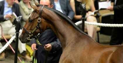 Fasig-Tipton October Sale