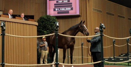 Keeneland November Sale 2014