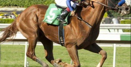 Dortmund Los Alamitos Futurity 2014