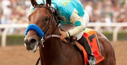 American Pharoah Preakness Stakes 2015