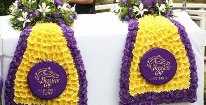 Breeders' Cup 2015 Information
