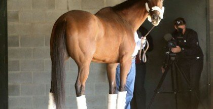 Beholder Declared from Breeders' Cup