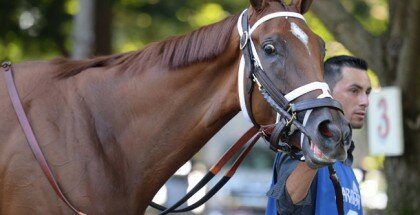 Curalina Breeders' Cup 2015