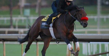 Nyquist Kentucky Derby 2016