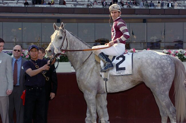 Tapit Kentucky Derby Sire