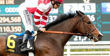 Songbird Horse