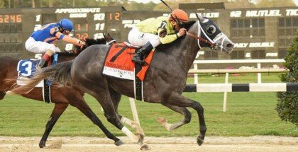 Destin Horse