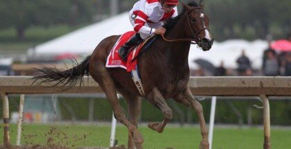 Songbird Oaks