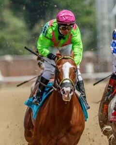 Kentucky Derby 2016 Results, Payouts, Photo Gallery