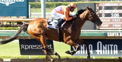Beholder Horse