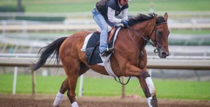 Beholder Horse
