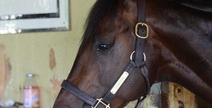 Belmont Stakes 2016 Predictions