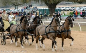 Miss South Carolina USA Aiken