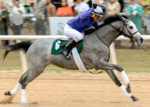 GraywinnerfistpumpAiken