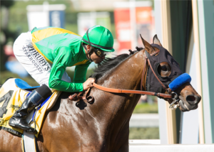 Cheyenne Stables' Mastery wins the 2017 San Felipe Stakes (GII) at Santa Anita before being pulled up and eventually diagnosed with a left front condylar fracture, ending his Kentucky Derby dreams. Photo: Benoit