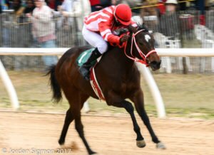 RunningRed:WhiteAiken