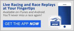 Horse Racing Now